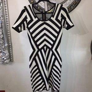 Gianni Bini | Black and White Dress